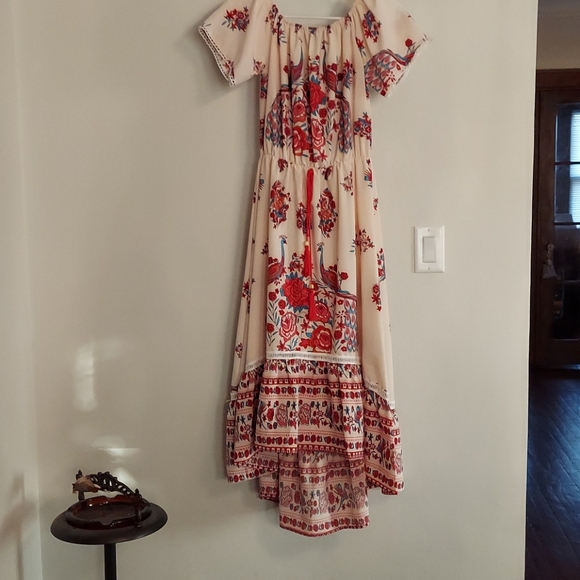 wangexu Dresses & Skirts - XL high lo dress.